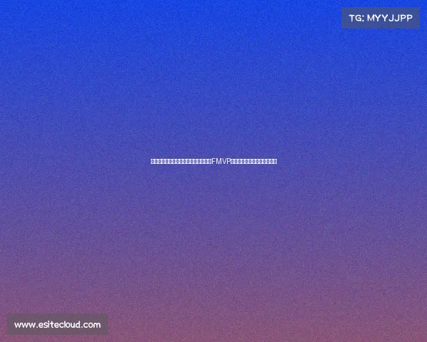 霍勒迪自信宣言:当年我抓住机会拿下FMVP,现在轮到一哥得到同样机会